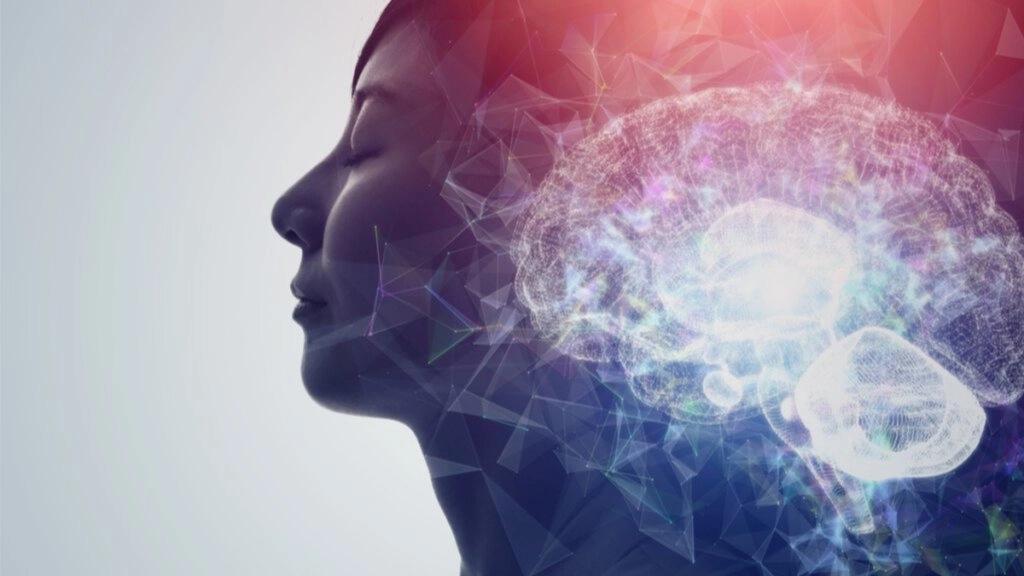NeuroCiencia y Espiritualidad ✨🧠 El Cerebro y su Capacidad para Trascender