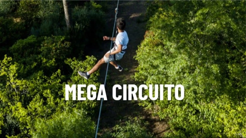 Tree Top Mega Circuit