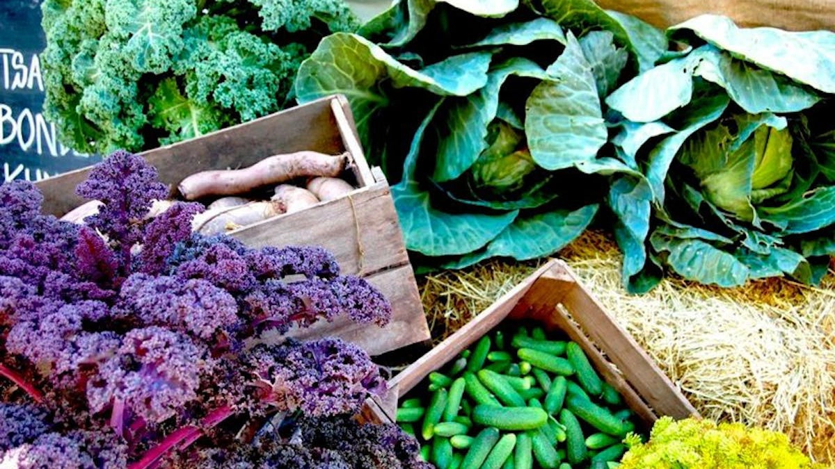 Folkekøkken 14. januar