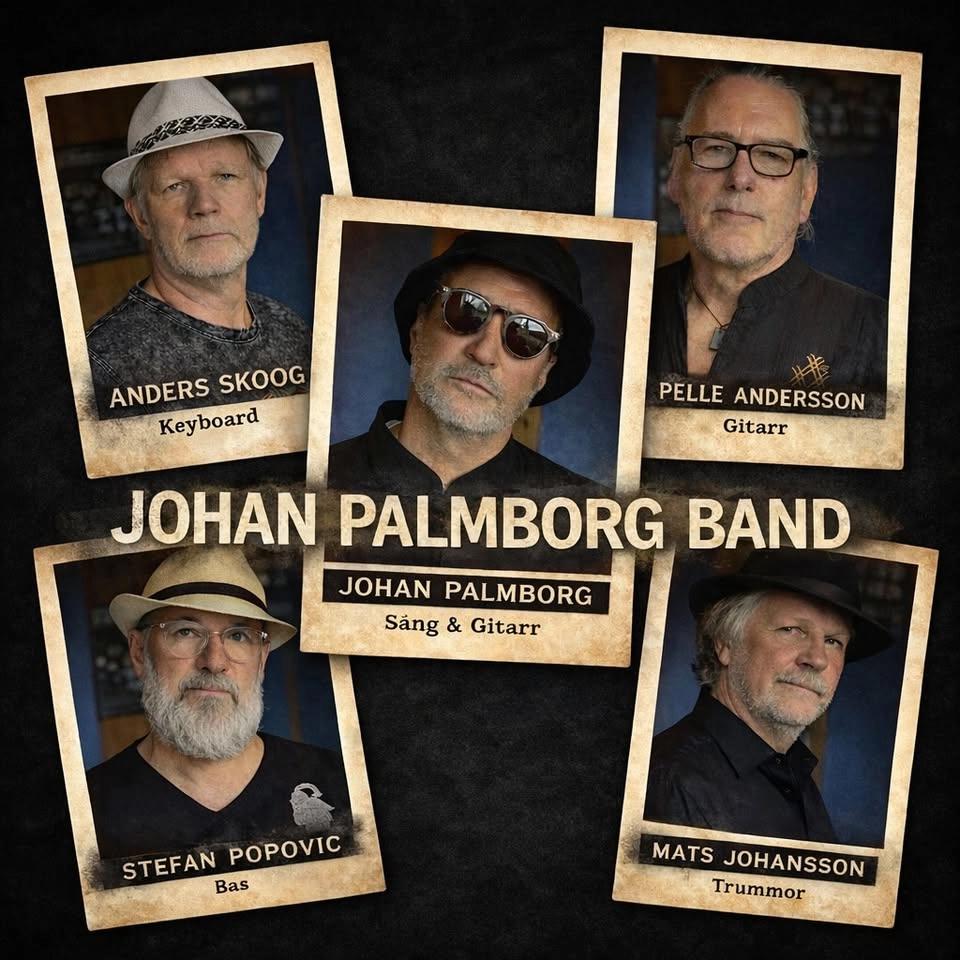 Johan Palmborg Band