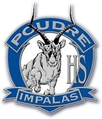 20 Year Poudre High School reunion