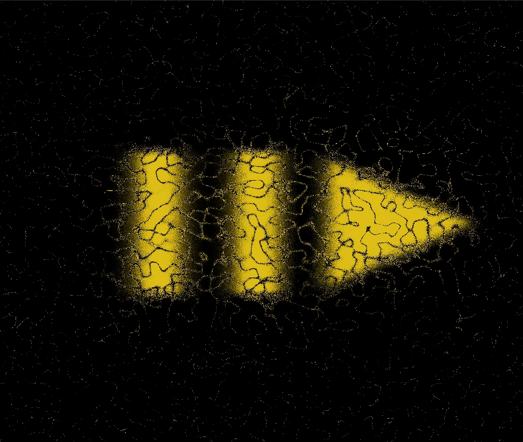 INTRO