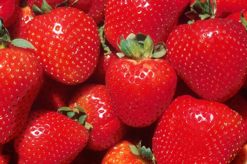 Strawberry Social