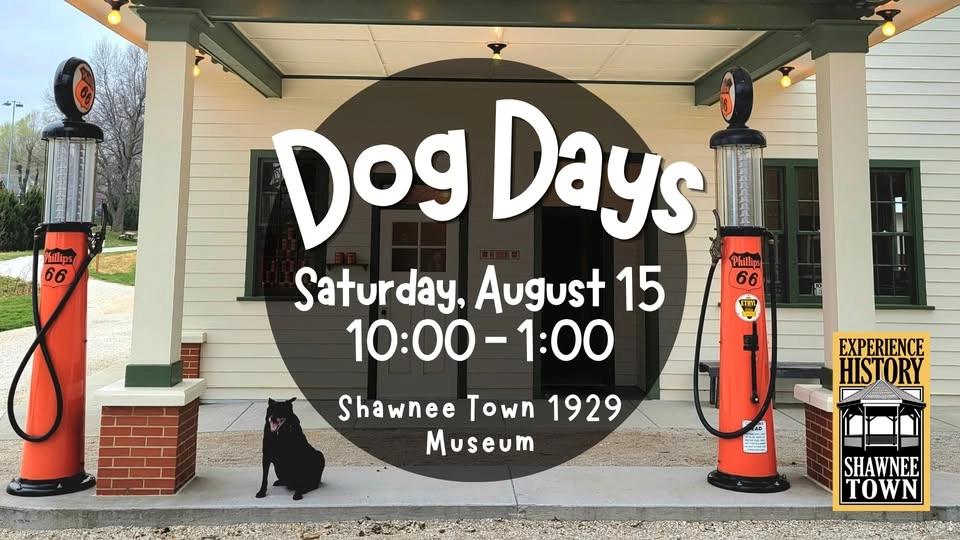 Dog Days of Summer