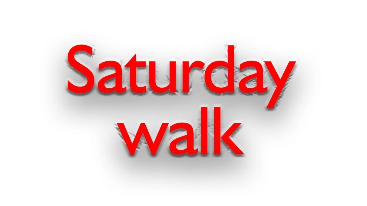 Saturday walk