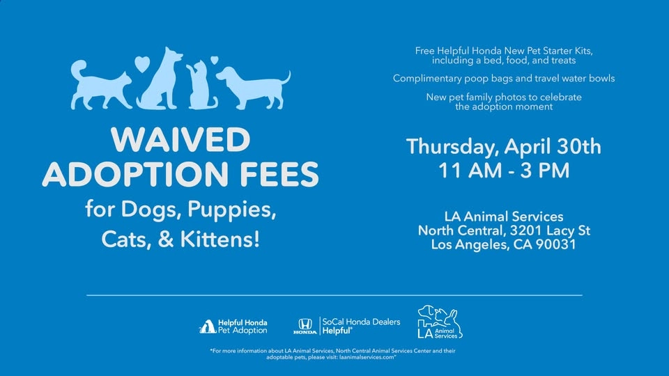 SoCal Helpful Honda Pet Adoption | North Central Animal Shelter