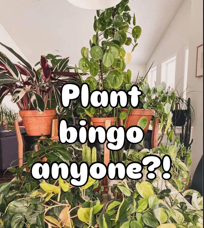 Plant Bingo at The Apple Barn