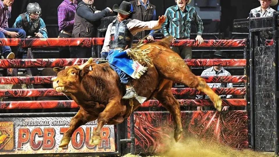 PCB Presents: World Cup of Bull Riding