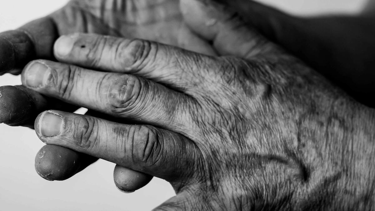 Författarsamtal: Handens Intelligens