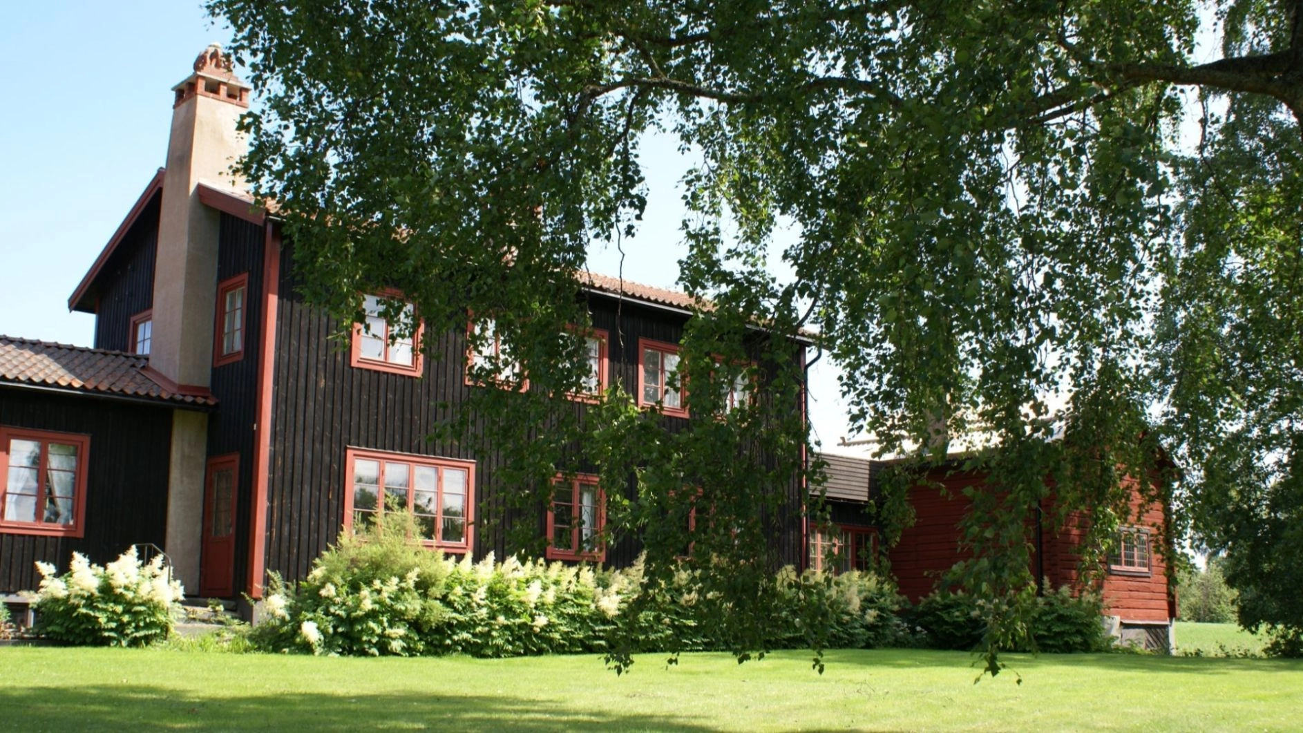 Guidad visning i Alfvéngården