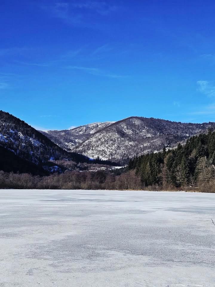 trail du ballon d'alsace