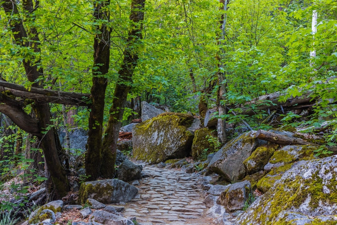 Life Science Hikers - Boston Edition - April Hike