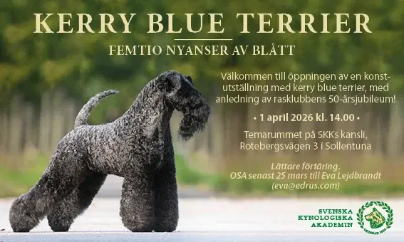 Vernissage - temautställning om kerry blue terrier