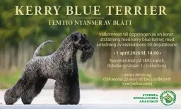 Vernissage - temautställning om kerry blue terrier