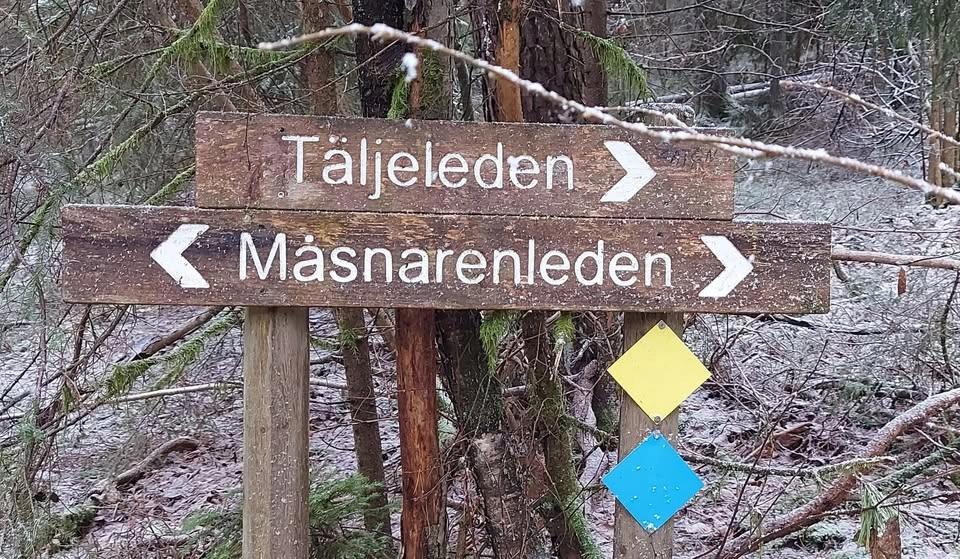 Naturvandring till Malmsjön via Acksjöarna