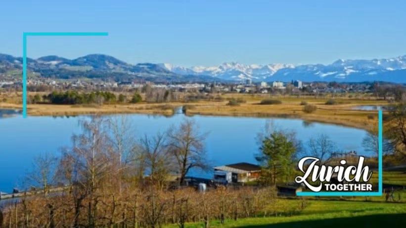 Easy, Hangover friendly walk and picnic -> Lake Pfäffikon (Pfäffikersee)