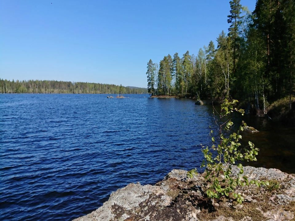 Skogsvandring - Wandertour - Hiking in forest