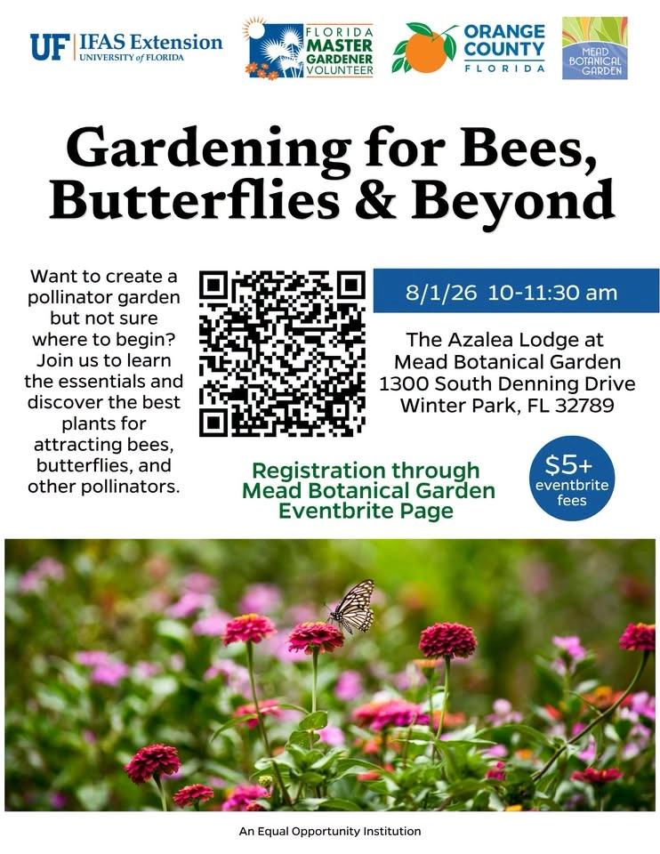 Gardening for Bees, Butterflies & Beyond