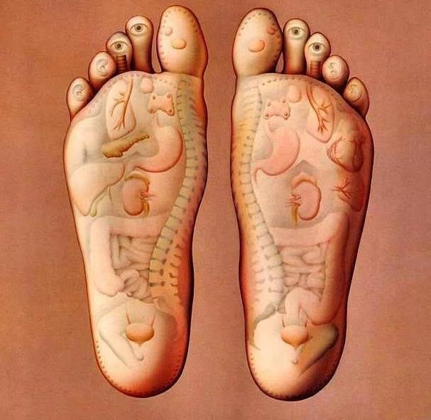 Reflexní terapie – REFLEXOLOGIE