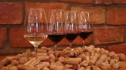 Vinprovning Spanska öarna & god mat