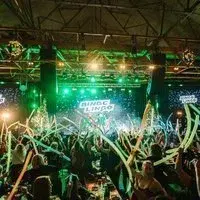 Bingo Lingo - Motion