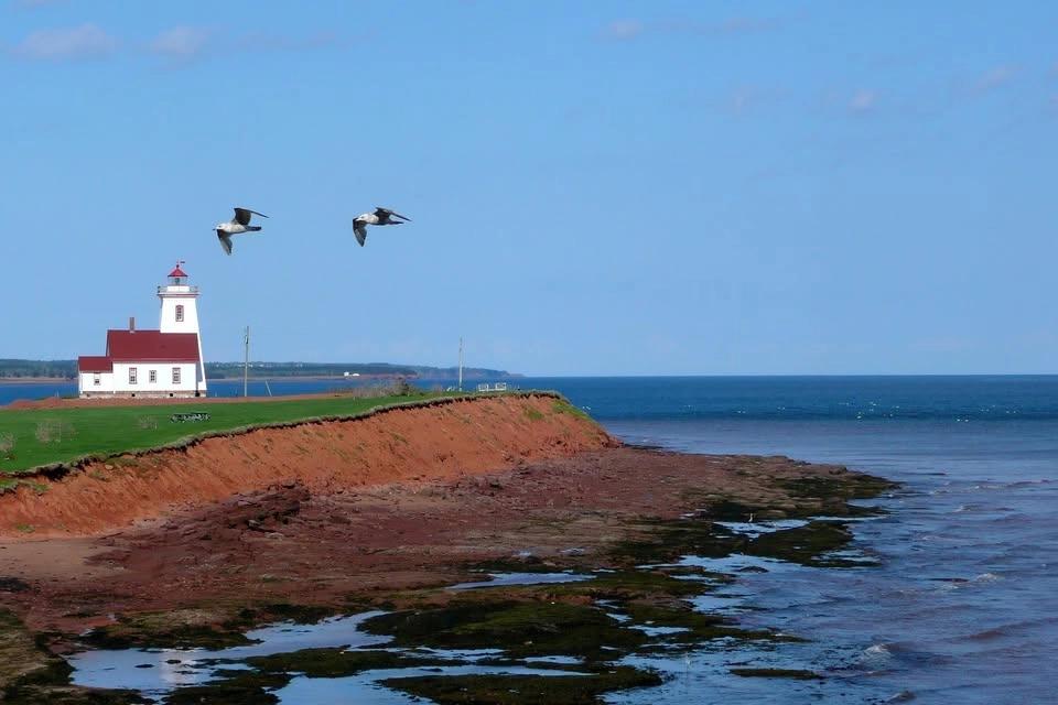 Prince Edward Island Crochet Adventure