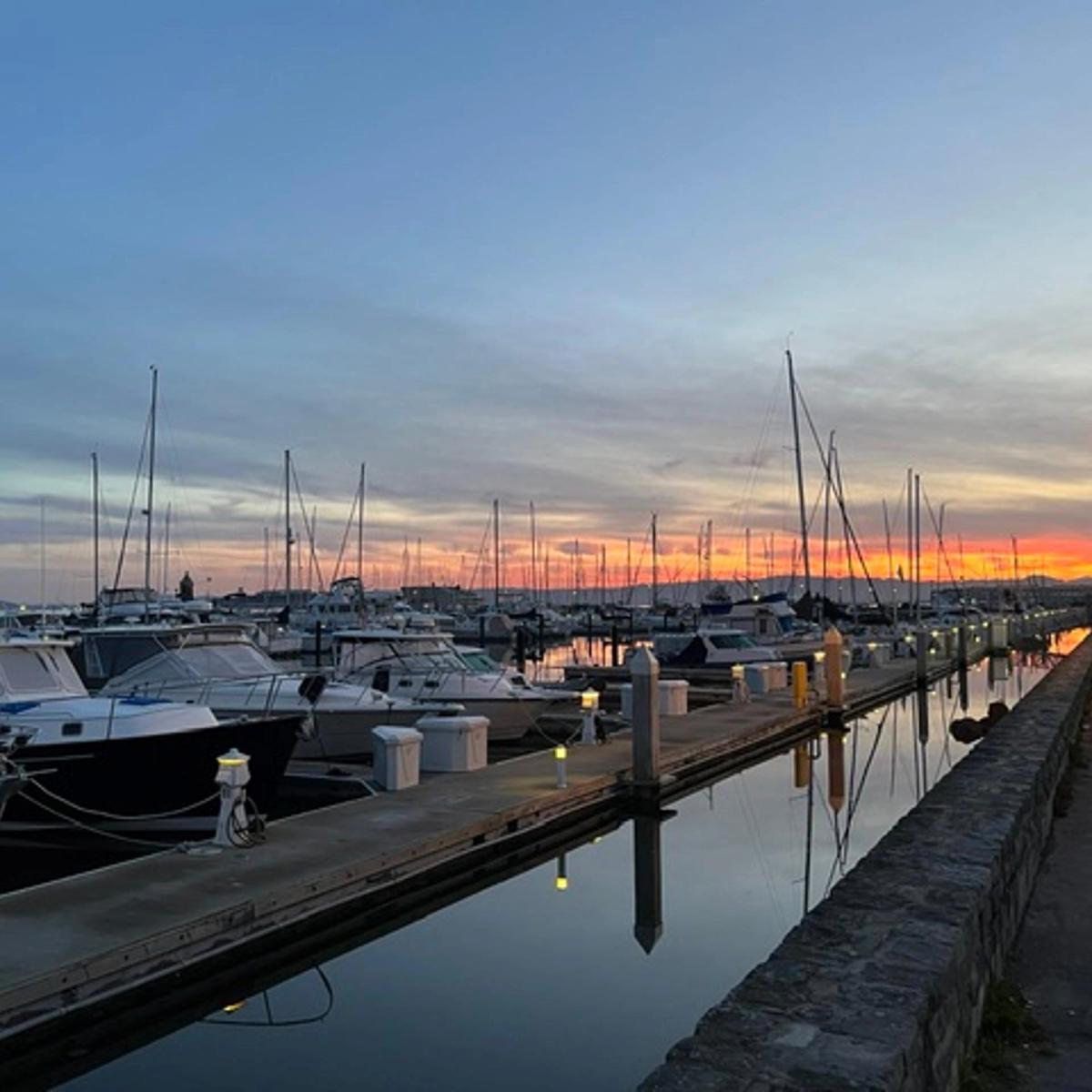 PHRA June Marina Walk & Chat
