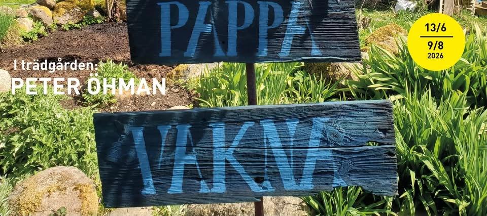 Peter Öhman, Pappa Vakna!
