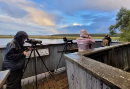 Fågelskådning / Bird watching