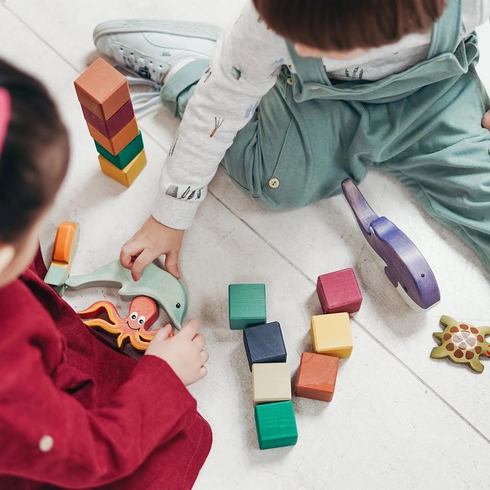 Stay and Play with North Shore Community Toy Library