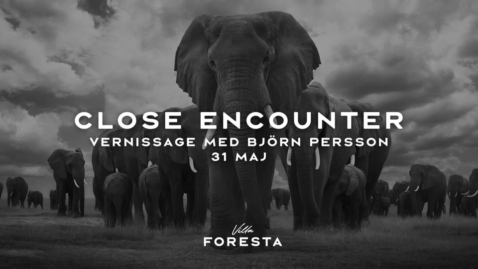 Close Encounter – Vernissage med Björn Persson 31/5 på Villa Foresta