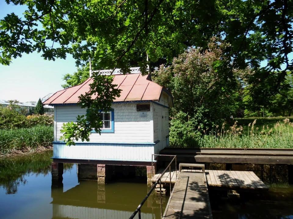 Šimtamečio baltojo namelio paslaptys