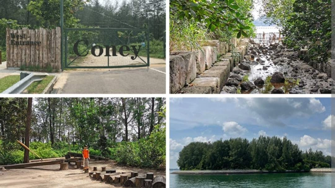 🌄Briskwalk at Coney Island🐦🌳