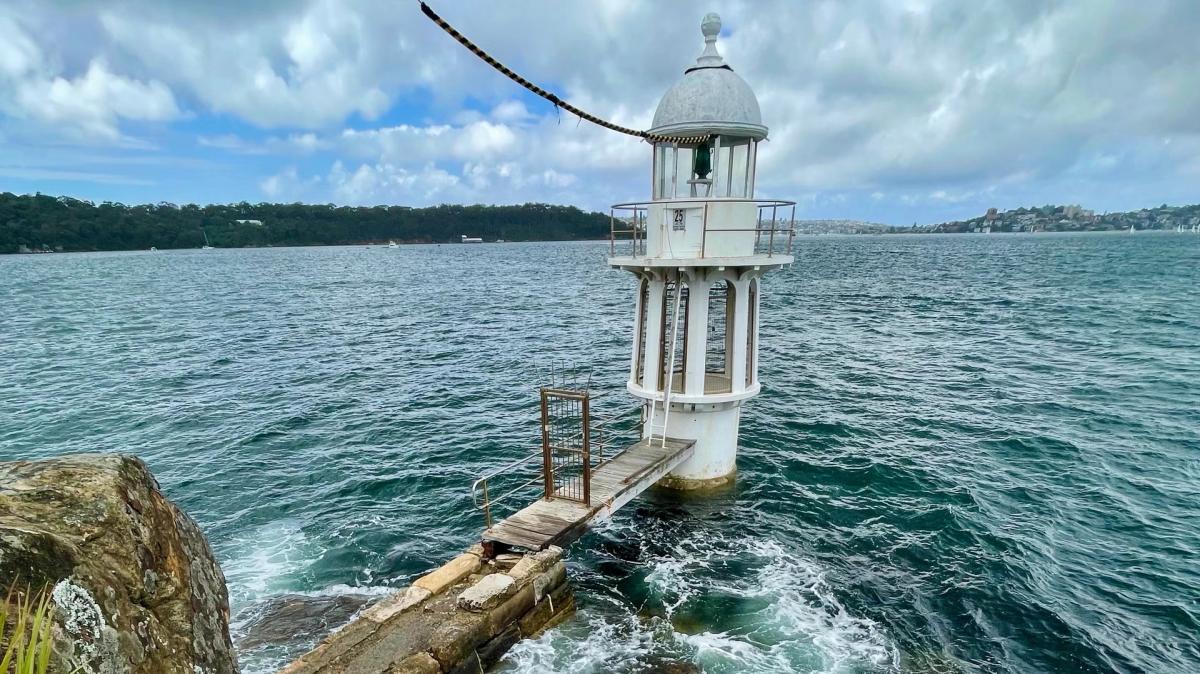 🐯 Taronga Zoo to Circular Quay via Harbour Bridge🚶🚶♂️🌿 🐯 🌸 🌉