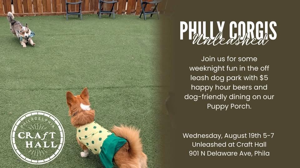 Philly Corgis Unleashed at Craft Hall