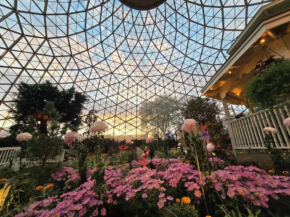 SUMMER FLOWER FEST: A FAMILY FUN FEST!