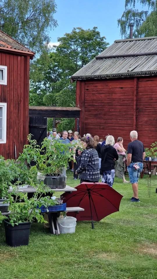 Hälsingekretsens årliga växtmarknad 🏵🌿