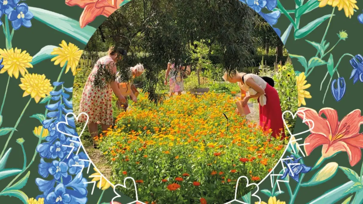 Köksträdgårdsguidning