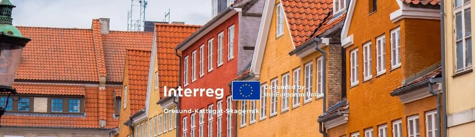 Buying a Home in Denmark