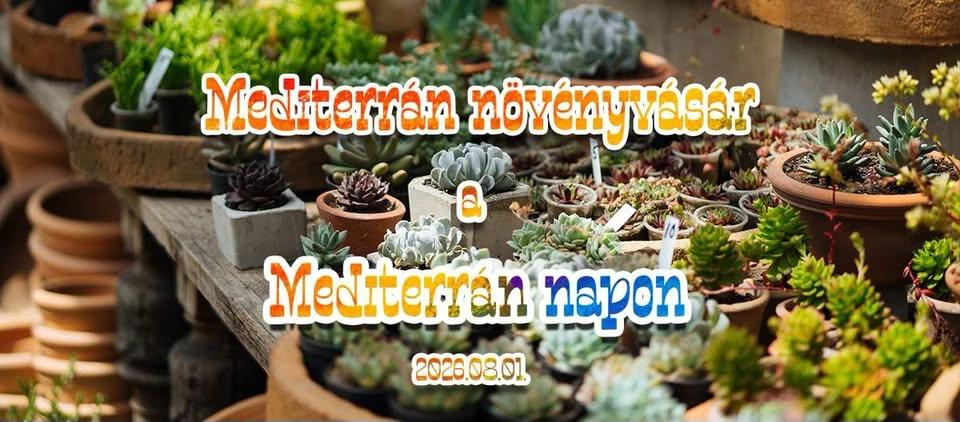 Mediterrán növényvásár