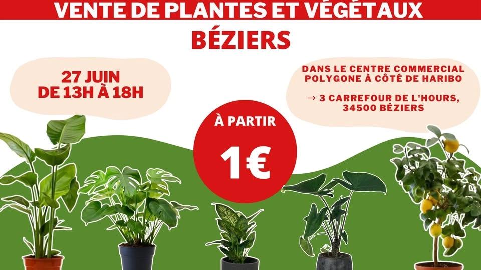 BÉZIERS - Végétaux et Plantes à partir de 1€ by Plantes Addict