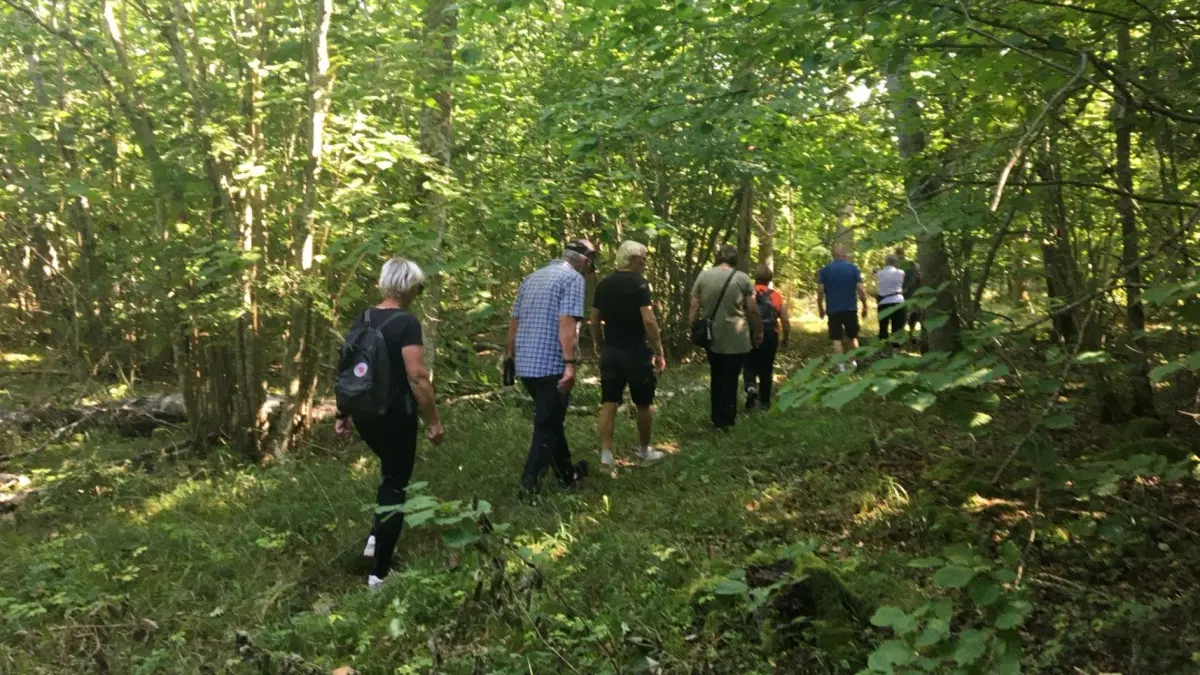 Matvandring i Mittlandet