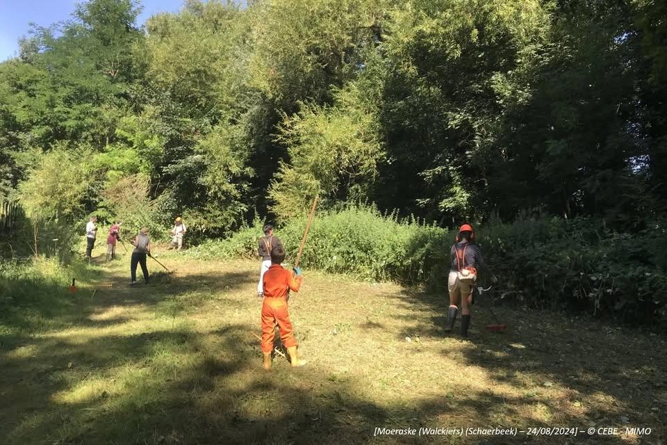 Moeraske : Gestion du site naturel