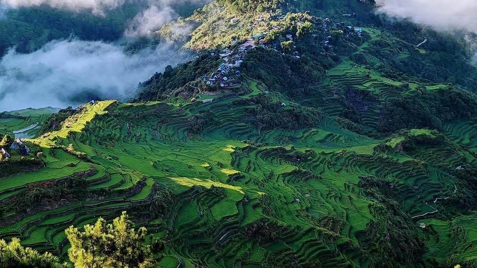 Mt. Kupafey • Maligcong Rice Terraces Traverse || Mt.Polis x Bauko