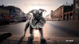 Dogs in the city photoshoot - Gothenburg eddition
