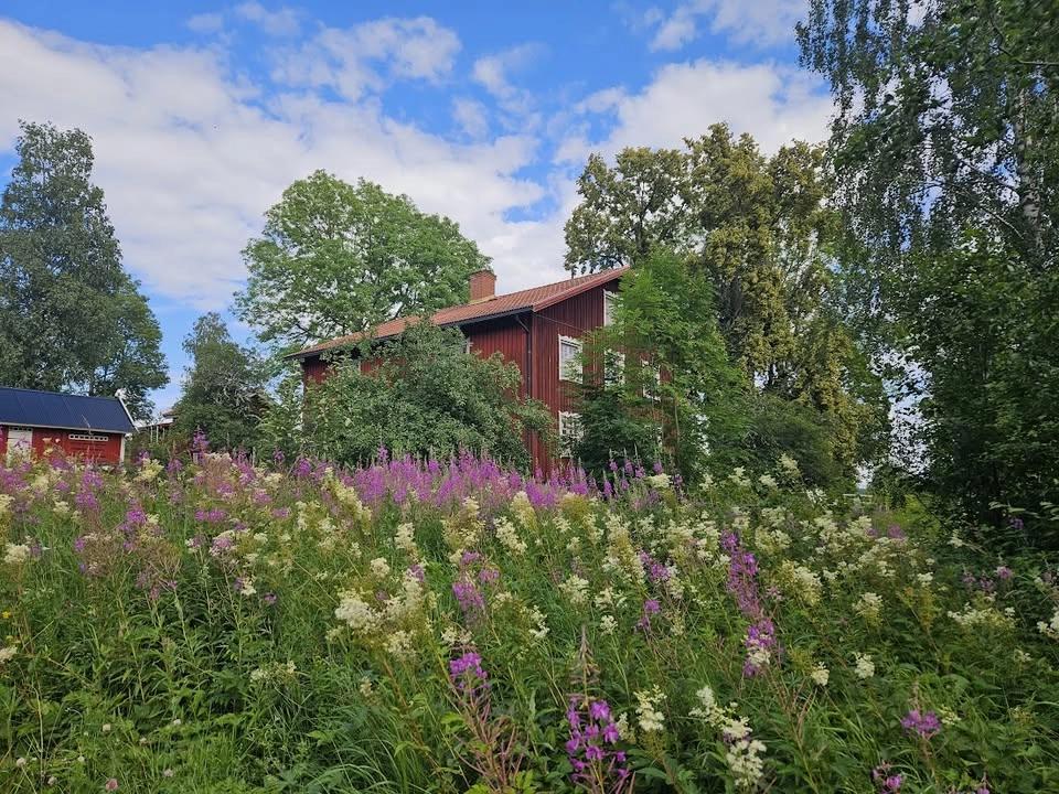 Midsommarhäng för Humlebäcks vänner
