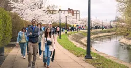 2026 Downtown Akron Sakura Festival