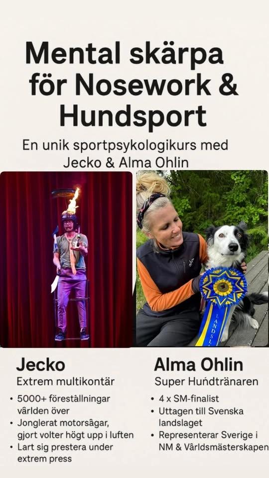 Fullbokat! Mental skÀrpa för Nosework & Hundsport