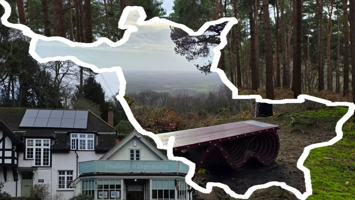 đŽ đ¶Hike: Chilworth via Winterfold Wood & Pitch Hill