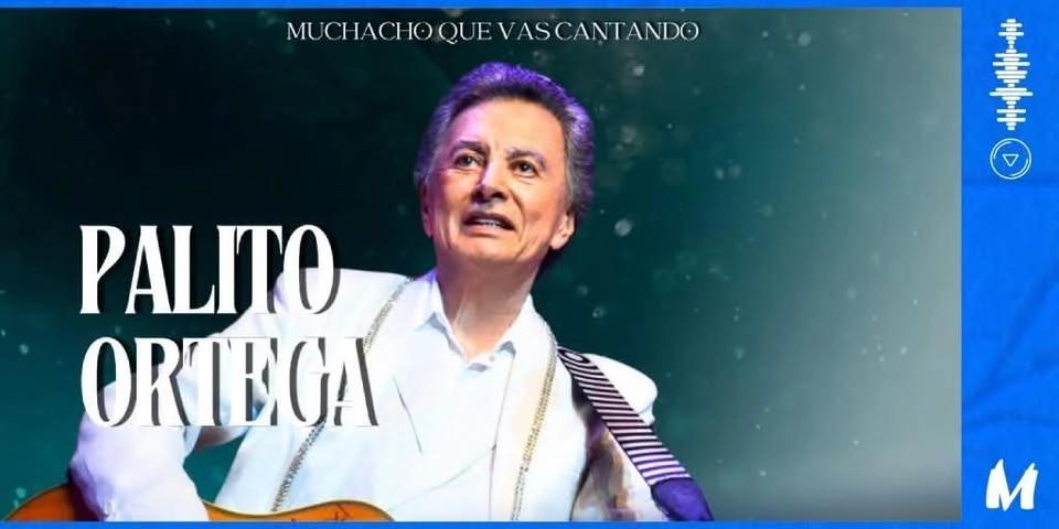 Palito Ortega • Muchacho que vas Cantando • Rosario
